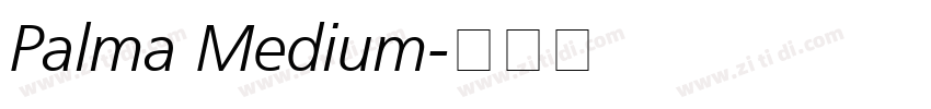 Palma Medium字体转换